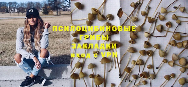 мяу мяу мука Осташков