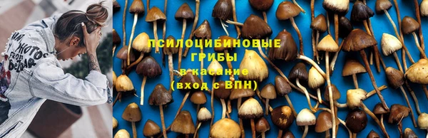 мдма Осинники