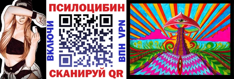 KRAKEN tor  Углич  Псилоцибиновые грибы прущие грибы 