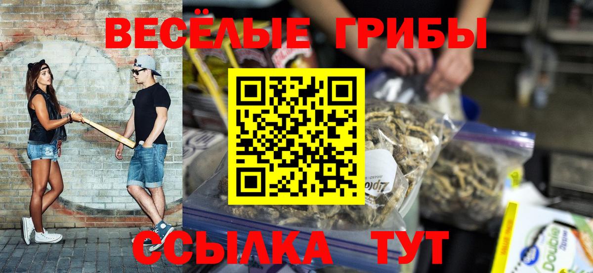 Углич  Галлюциногенные грибы мицелий  Вход с VPN 